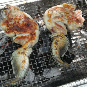 クロコダイルのオーブン焼き🐊｜オススメ　ワニ肉レシピ