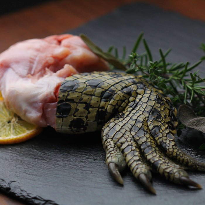 Crocodile Meat Legs |🐊a real eye-catcher | Whole Meat